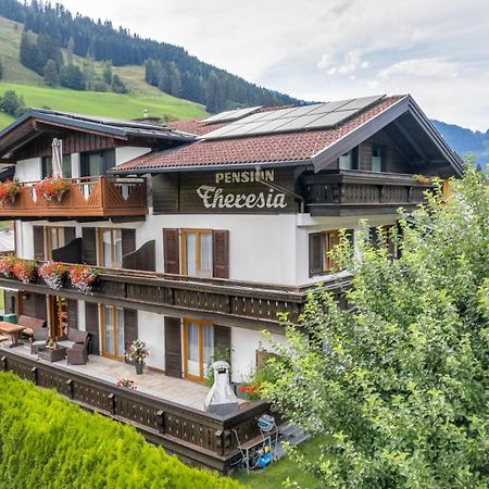 Pension Theresia Dorfgastein Dış mekan fotoğraf